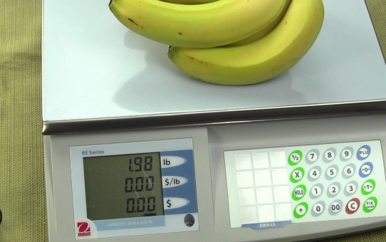 Facts That You Need To Consider For Legal Trade Scale