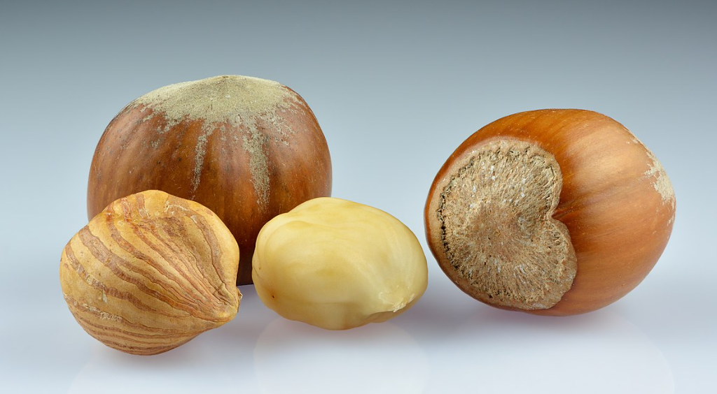 orchard tractor macadamia harvester