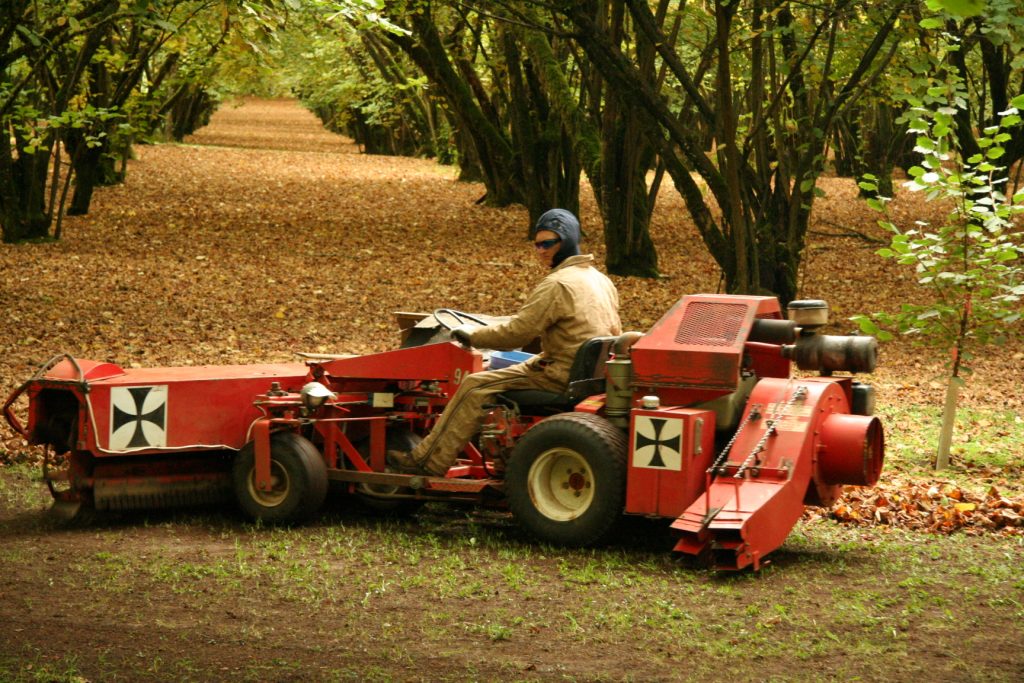 orchard tractor macadamia harvester