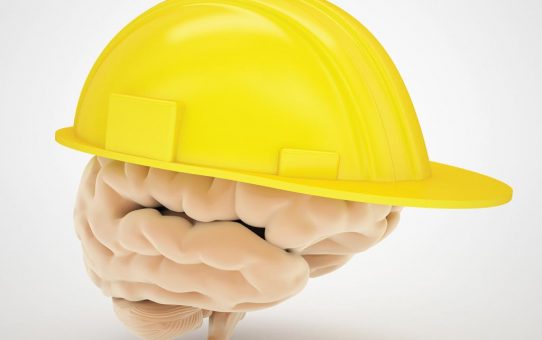 Compulsion Of Head Protection Equipment In Particular Workfields