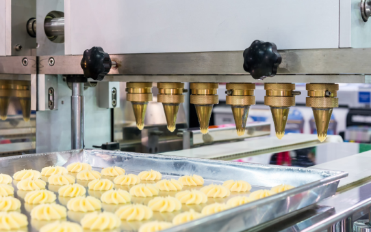 The Ultimate Guide to Choosing the Best Food and Beverage Pumps